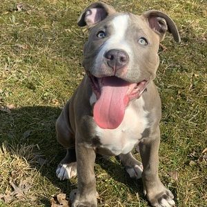 Meet your Posher, Jay